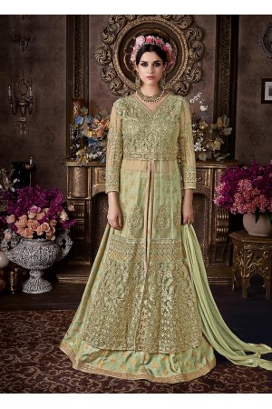 Pista green net wedding anarkali 104