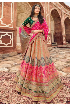 Banarasi silk a line lehenga choli in Beige colour 10196