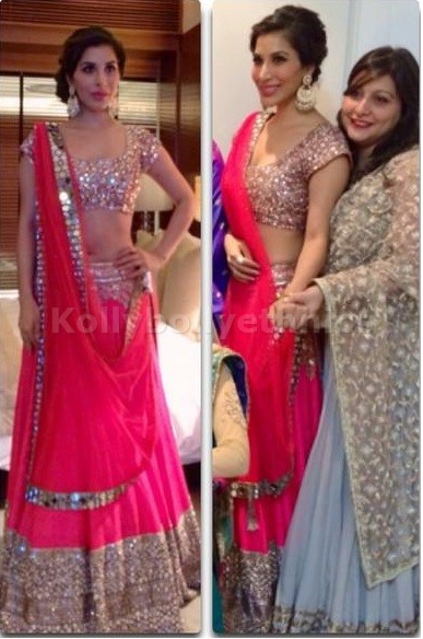 Bollywood Style Sophie choudry net lehenga in Pink color