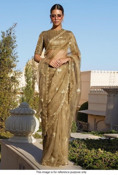 Bollywood Sabyasachi Inspired Beige organza silk saree