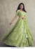 Bollywood Madhuri Dixit Inspired Green Lehenga choli