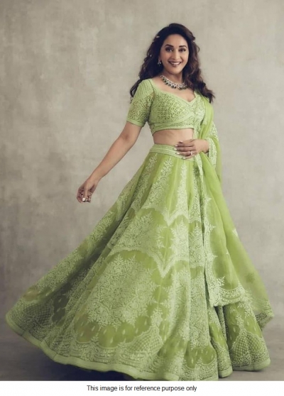 Bollywood Madhuri Dixit Inspired Green Lehenga choli