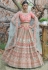 Pink pashmina embroidered lehenga choli 1123