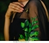 Bollywood model semi pure Organza saree in black color
