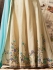 Beige and mint green color bangalori silk anarkali kameez