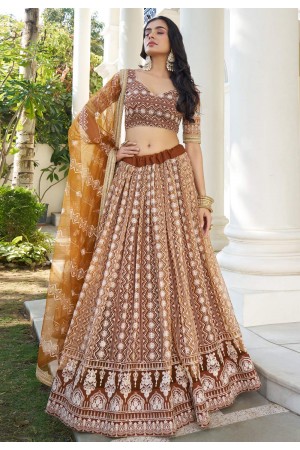 Brown net circular lehenga choli 2132