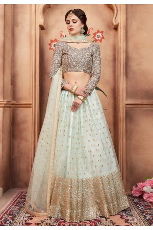 sky blue net circular lehenga choli 2001