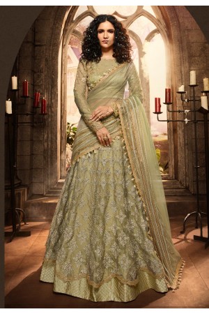 Light green net embroidered designer lehenga choli 21005