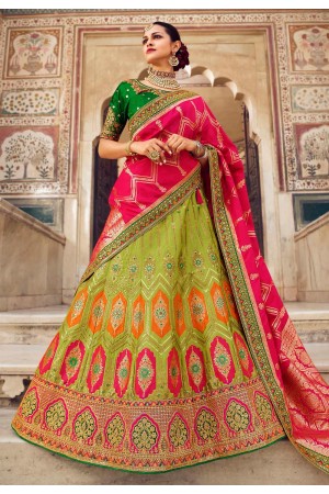 Light green banarasi silk a line lehenga choli 1202