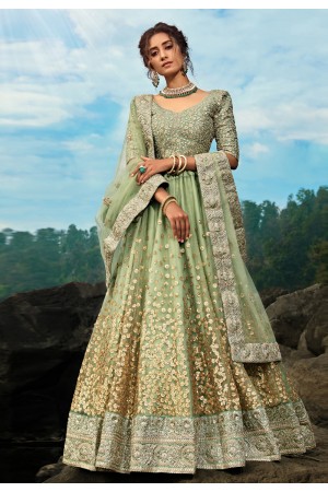 Light green net circular lehenga choli 3606