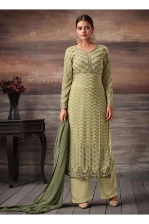 Green color georgette straight cut salwar kameez 48003