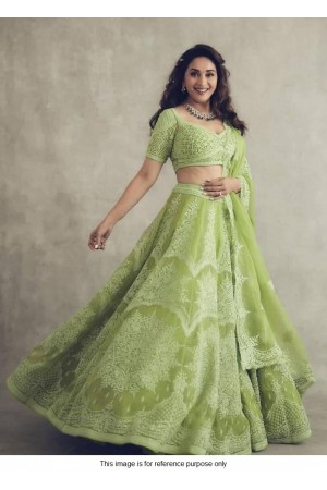 Bollywood Madhuri Dixit Inspired Green Lehenga choli