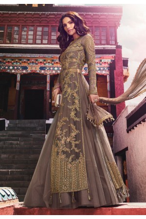 Brown net embroidered designer long choli lehenga 5408