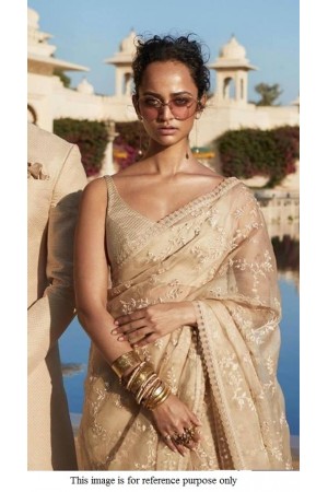 Bollywood Sabyasachi Inspired Chikoo net saree