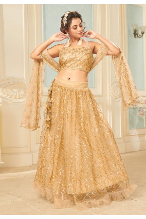 Beige net sequins work lehenga choli 1006