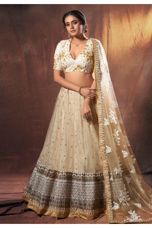 Beige net sequins work lehenga choli 6304