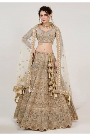 Beige net circular lehenga choli 1062