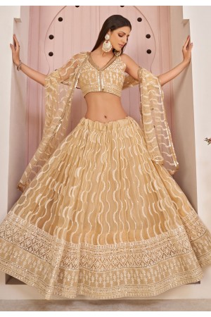 Beige net sequins work lehenga choli 9772