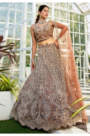 Brown net a line lehenga choli 202745