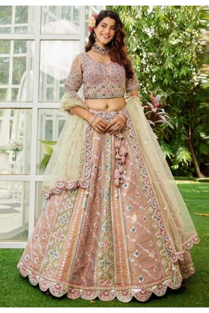 Multicolor net circular lehenga choli 202728