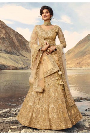 Beige net embroidered circular lehenga choli 922