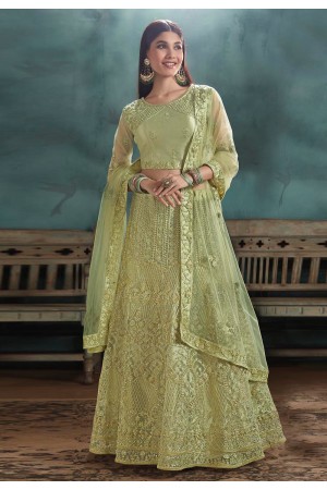 Light green net embroidered a line lehenga choli 3031