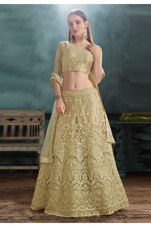 Light green net embroidered a line lehenga choli 3035