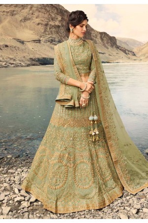 Light green net embroidered circular lehenga choli 915