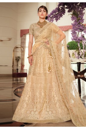 Beige net embroidered lehenga choli 5188