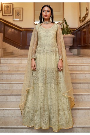 Light green net long anarkali suit 3010