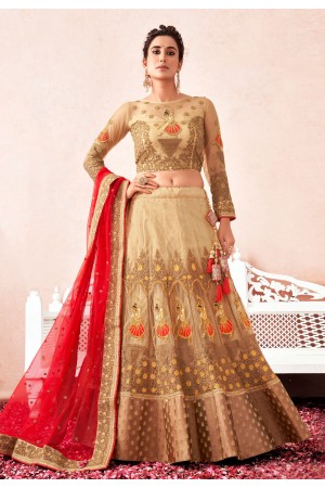 Beige net a line lehenga choli 1001