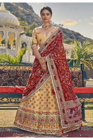 Beige readymade organza a line lehenga choli 2420