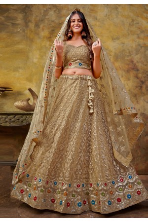 Brown net circular lehenga choli 6003