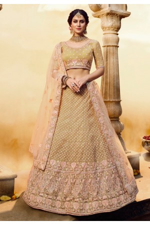 Golden net circular lehenga choli 3807