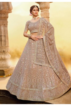 Light brown georgette circular lehenga choli 3809