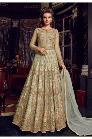 Light green color Net Indian Lehenga kameez 2 in 1 style