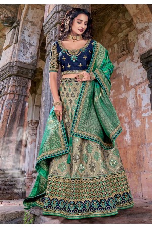 Banarasi silk circular lehenga choli in Beige colour 1707