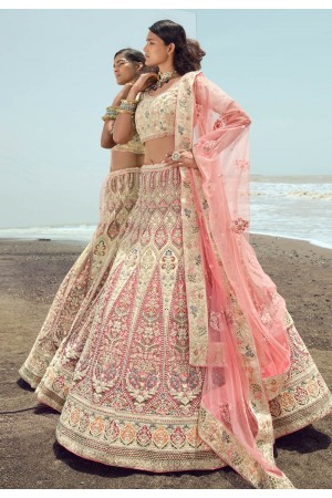 Net a line lehenga choli in Cream colour 23006