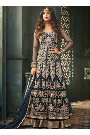 Sonal Chauhan Blue net wedding anarkali