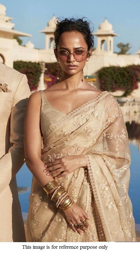 Buy Bollywood Sabyasachi Inspired Chikoo net saree in UK, USA and Canada