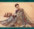 Multi Color Banarasi Silk Heavy Traditional Banarasi Silk Saree 63857