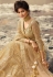 Beige net embroidered circular lehenga choli 922