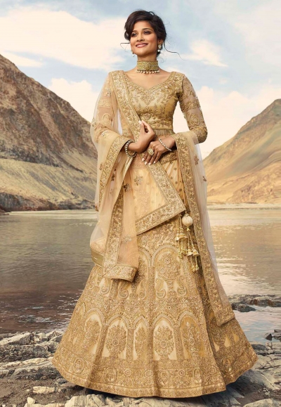 Beige net embroidered circular lehenga choli 922