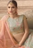 Gray tissue embroidered circular lehenga choli 20005