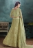 Light green net embroidered a line lehenga choli 3031