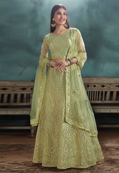 Light green net embroidered a line lehenga choli 3031