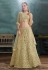 Light green net embroidered a line lehenga choli 3035