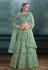 Light green net a line lehenga choli 3038