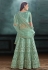 Light green net a line lehenga choli 3038