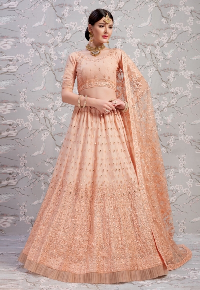 Peach net circular lehenga choli 2804